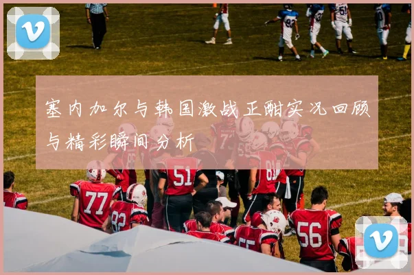 塞内加尔与韩国激战正酣实况回顾与精彩瞬间分析